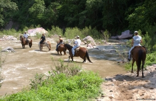Visita guiada a caballo